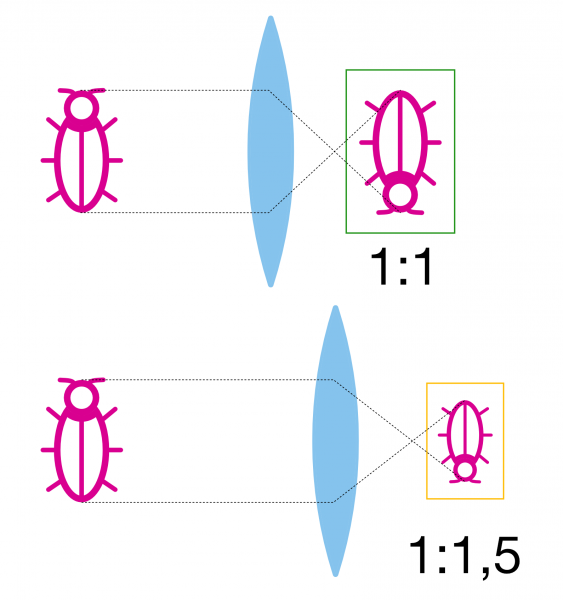 Comparison of reproduction ratio for getting the same field of view on cameras with different sensor size