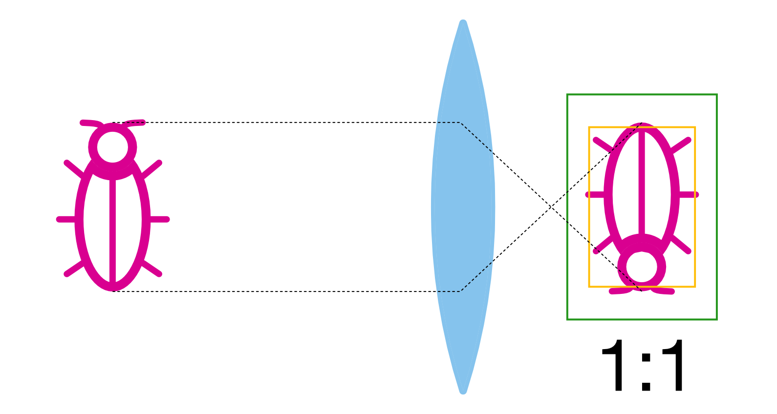 Impact of sensor size to resulting photo