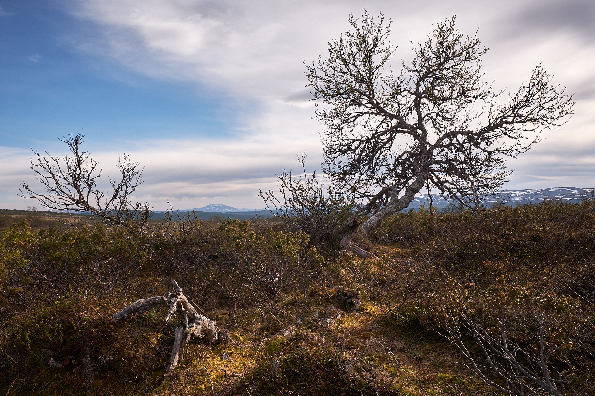 Krajina v okolí Forollhogny (Fujifilm X-T20 + XF16mmF1.4 R WR at 16 mm, f/16, 1/160 s, ISO 500)