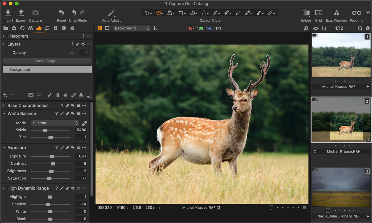 Thanks to the bundled catalog you can play with different sample photos including this my portrait of the sika deer