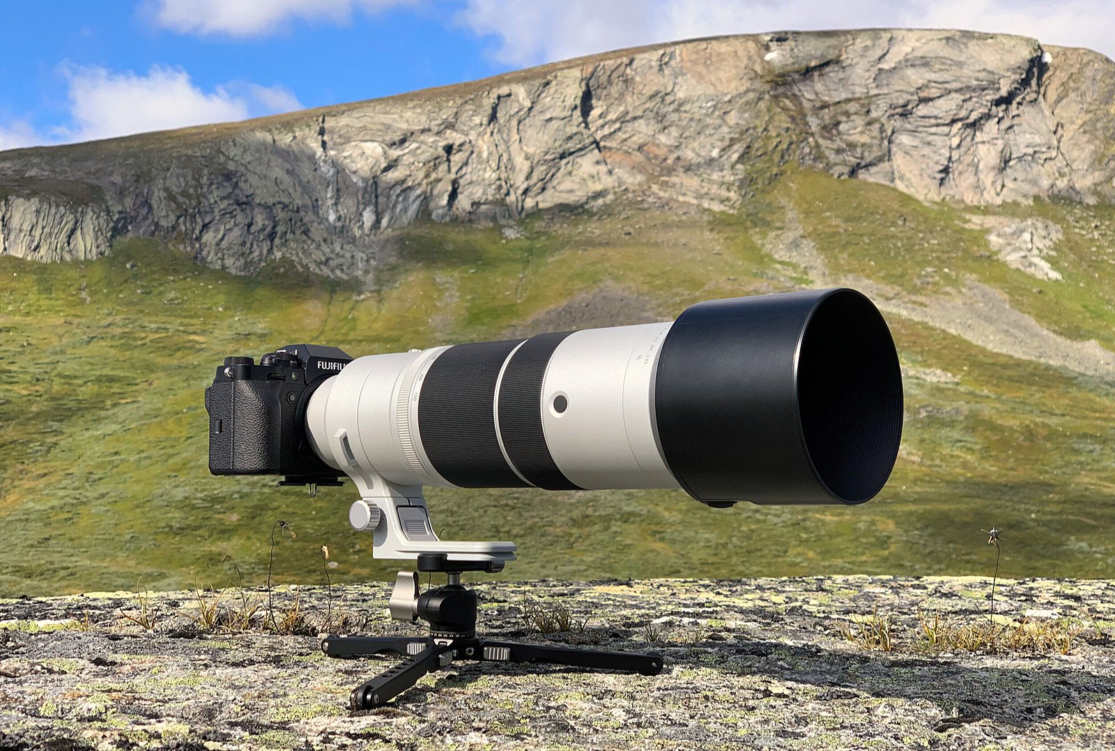 Objektiv XF150-600mm na X-T4 vypadá monumentálně, ale je překvapivě lehký a fotí se s ním dobře.