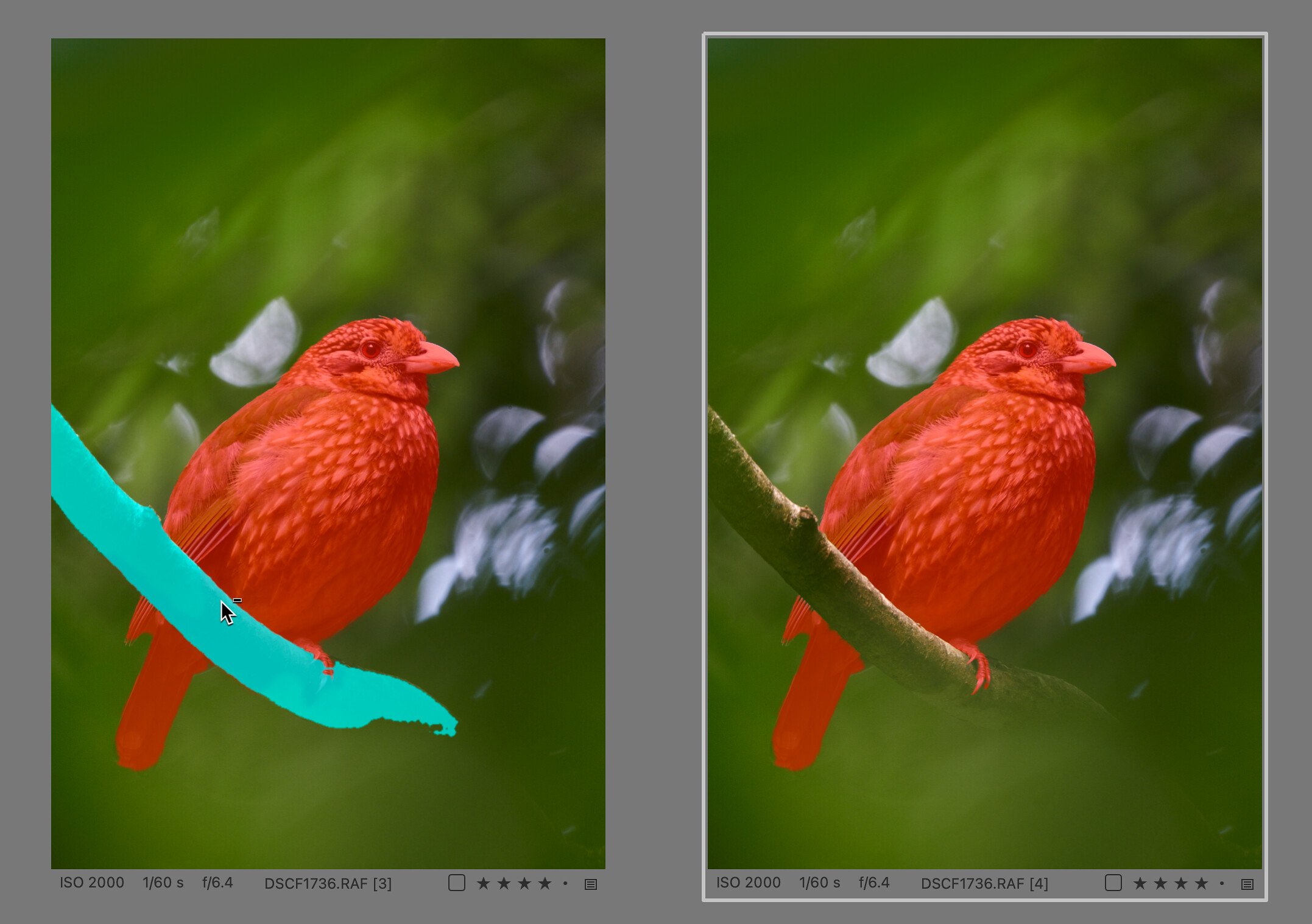 A preview of the mask parts to be erased using the AI Eraser (left) and the final mask after fine-tuning the selection in the finger area (right).