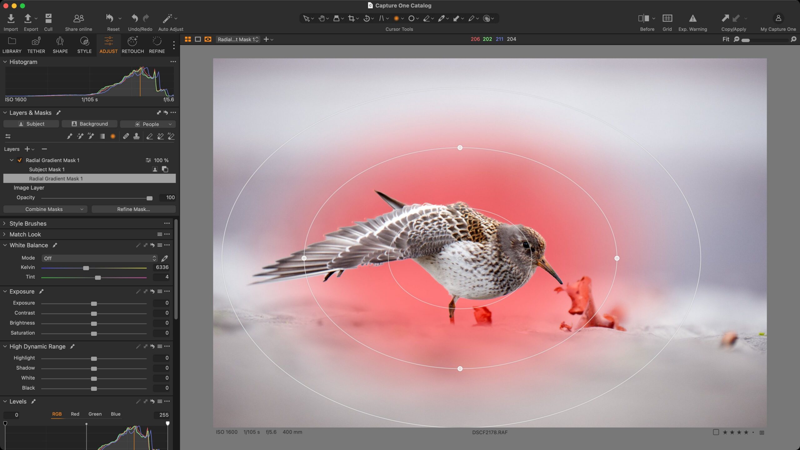 Example of combining two masks – a radial gradient with a subject mask subtracted. Note that the radial filter remains editable.